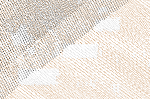 grid-based decimation result with points with unique categories in each grid cell