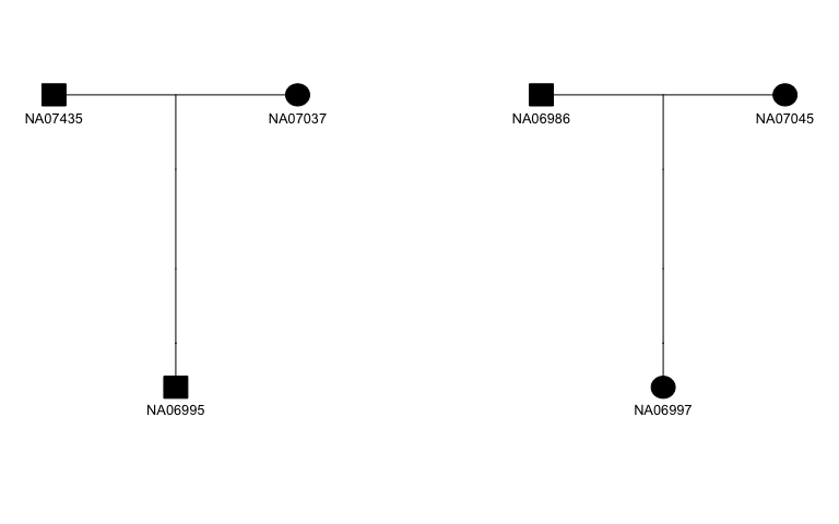 Trios in 1000 Genomes Project family 13291. Trios in 1000 Genomes Project family 13291.