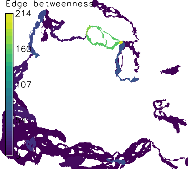image-alt
