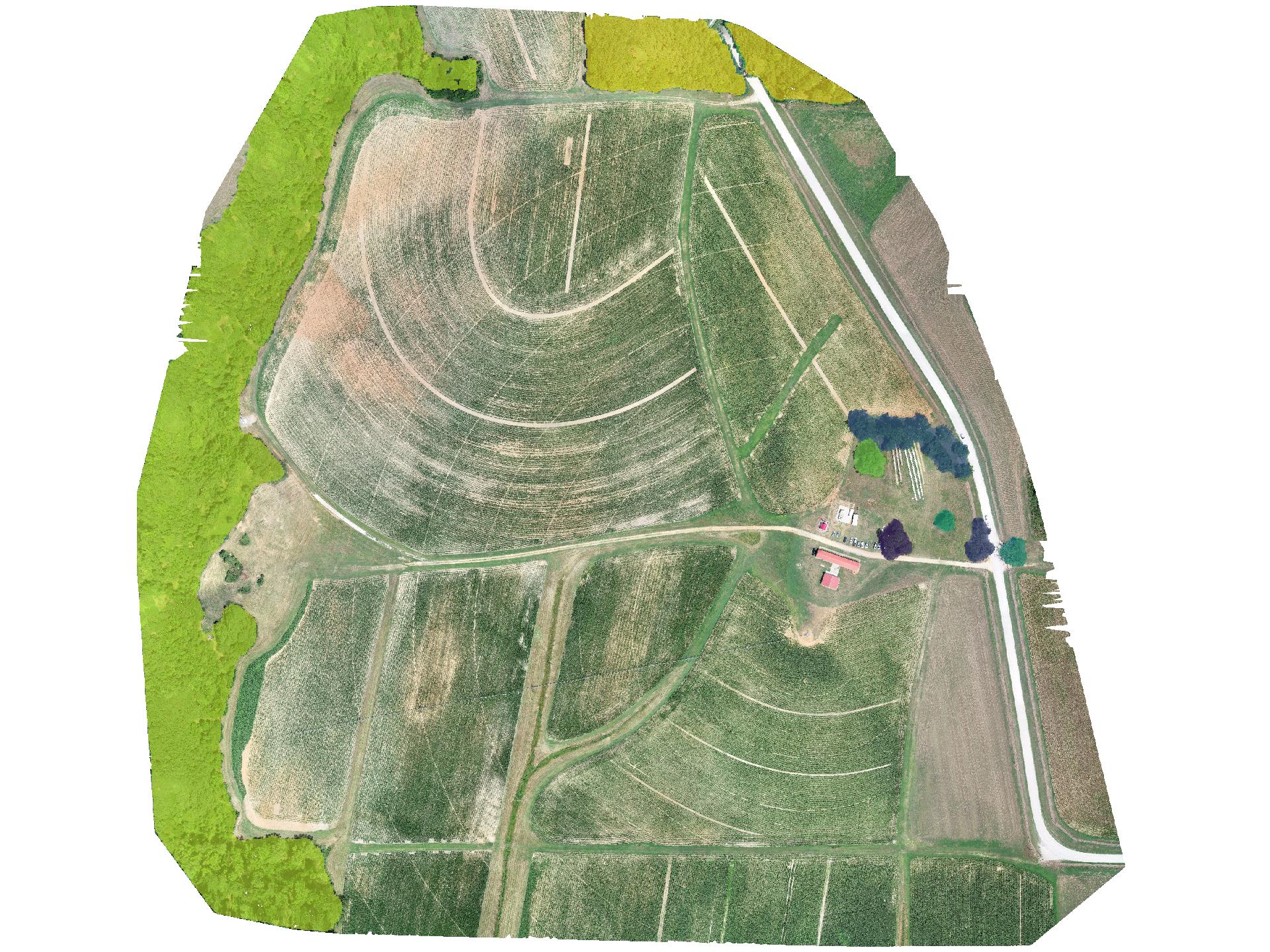 i.sam2: trees detected in an aerial image with samgeo