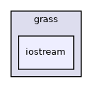 iostream